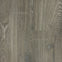 Toucan – Embossed In Register – TF6003 – 12.3mm Laminate Flooring